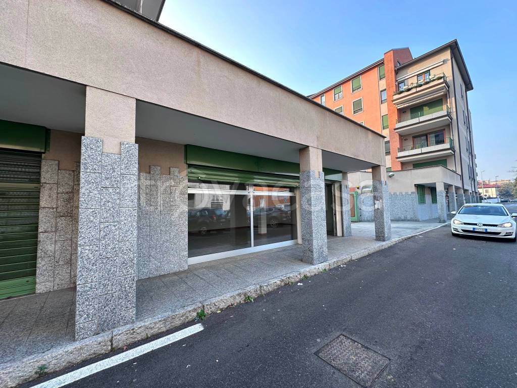 immagine annuncio 13 di 15
