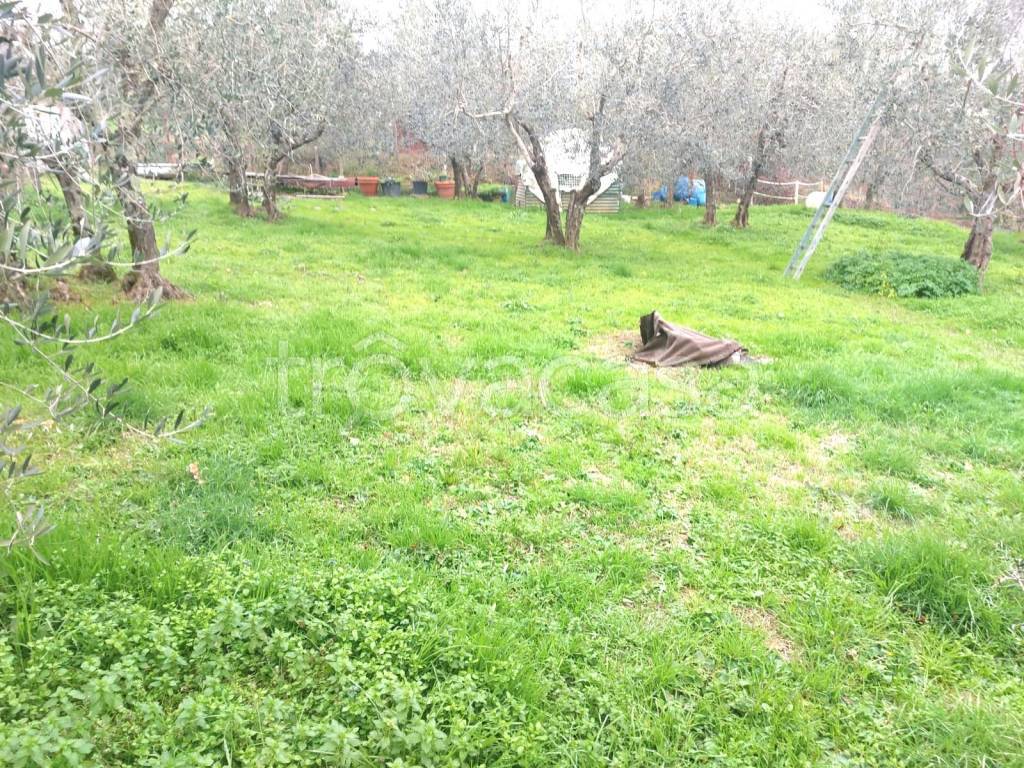 immagine annuncio 4 di 11