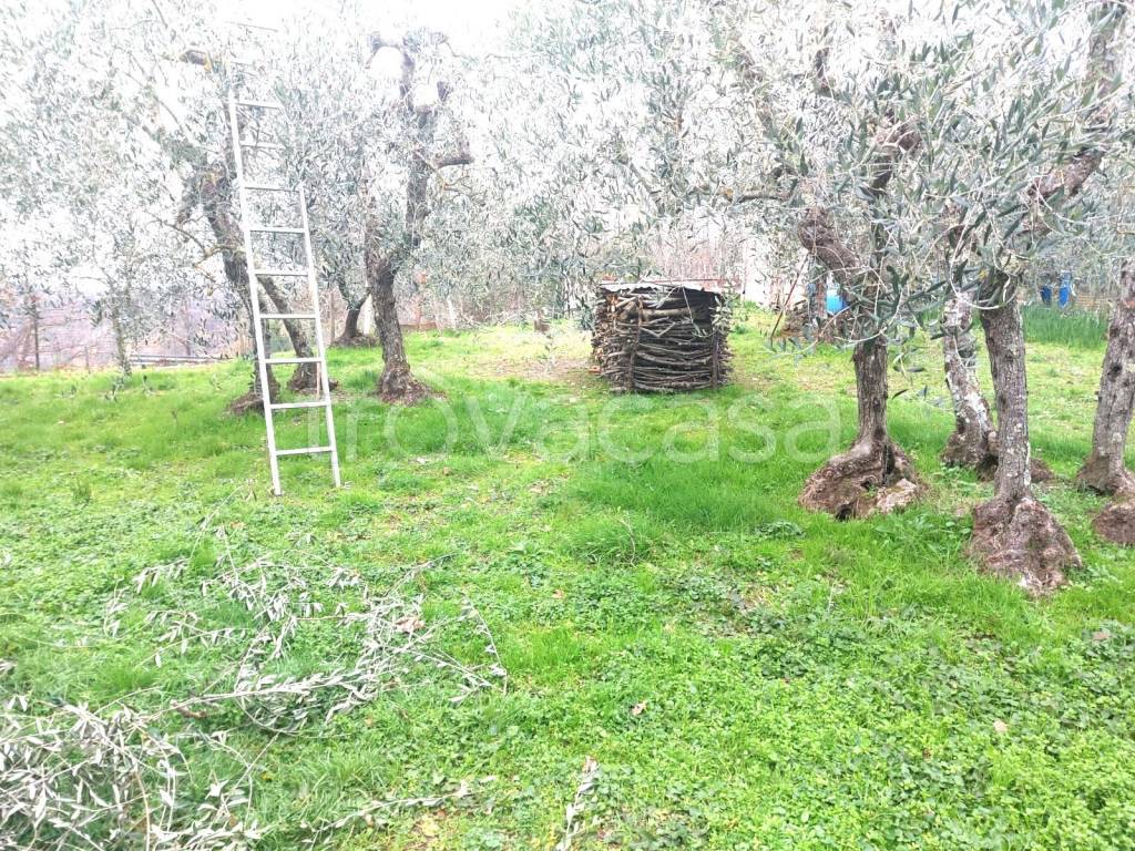 immagine annuncio 6 di 11