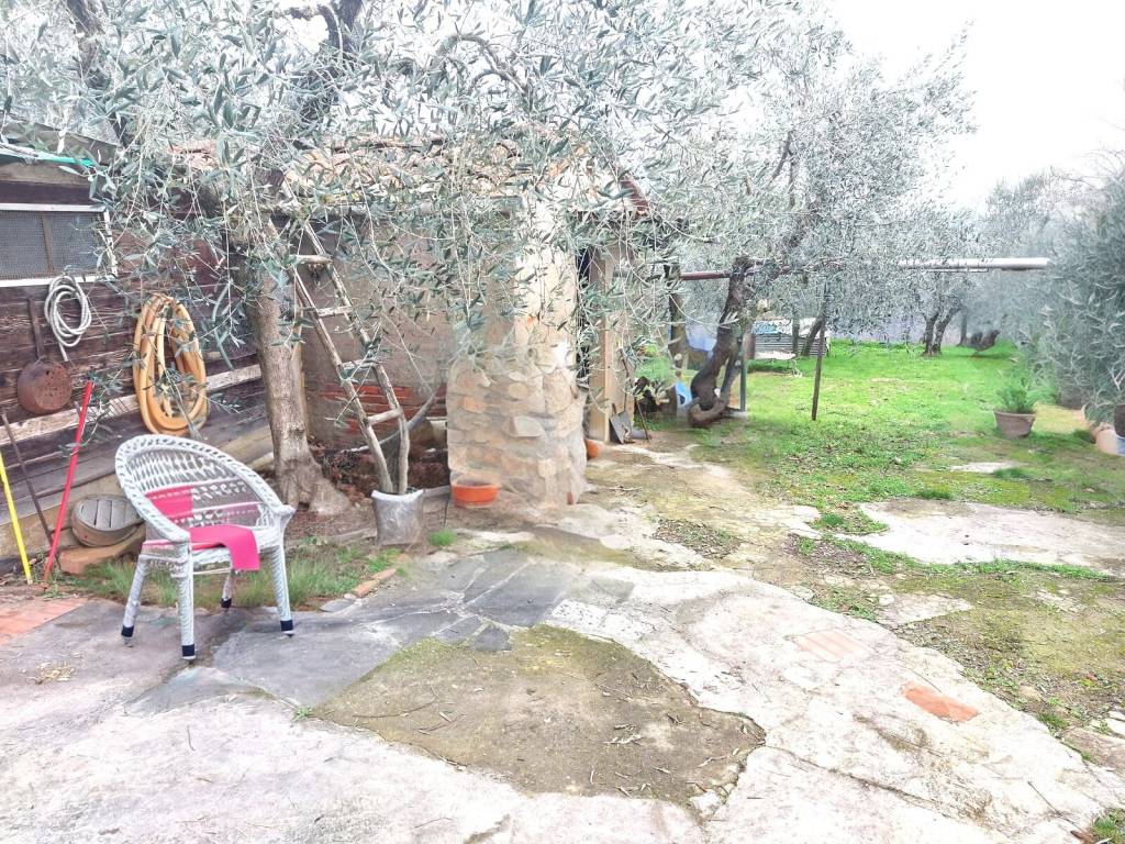 immagine annuncio 9 di 11