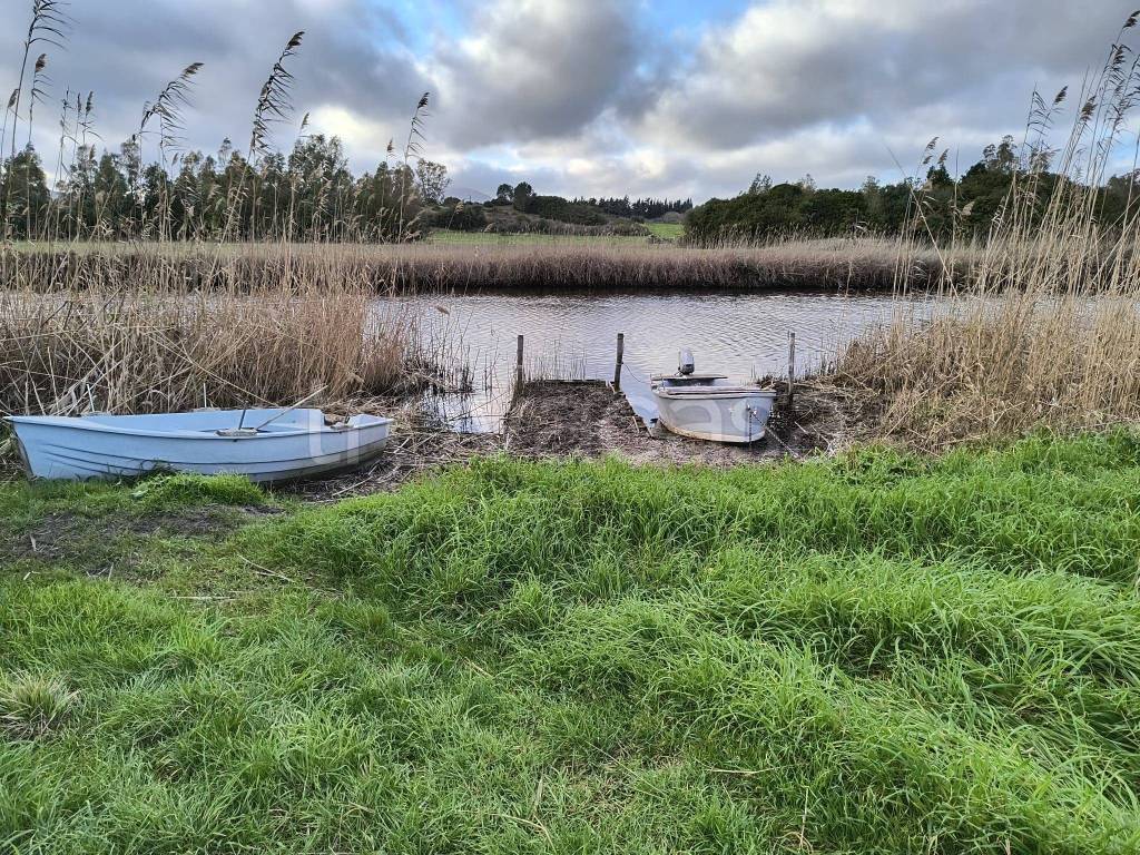 immagine annuncio 5 di 6