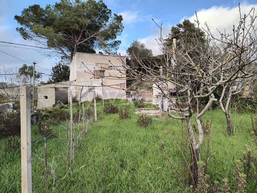 immagine annuncio 4 di 6