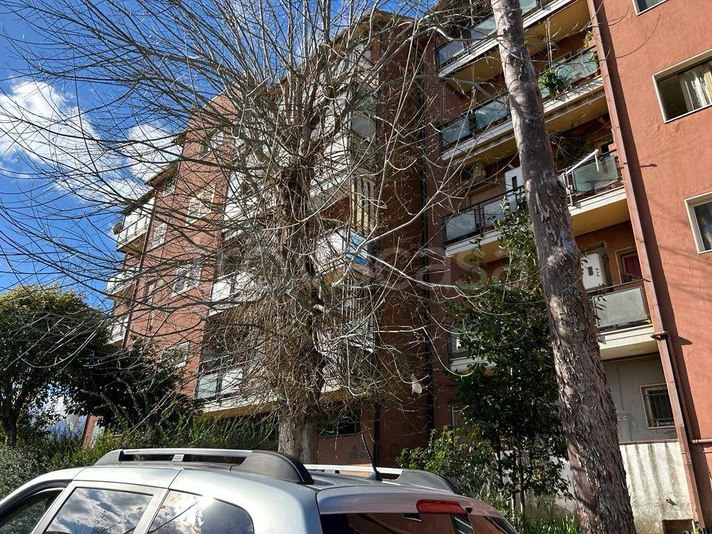 Appartamento in vendita a Cosenza via Tristano Codignola, 40