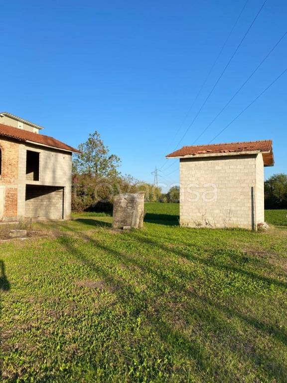 immagine annuncio 10 di 12