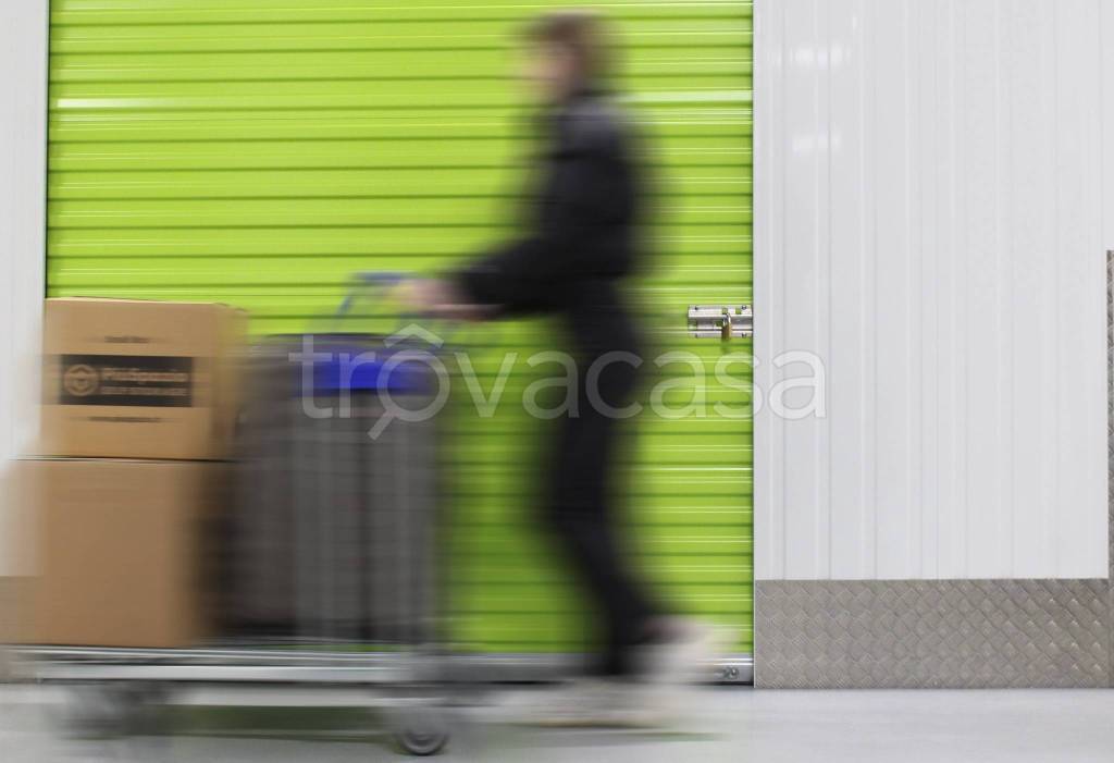 immagine annuncio 7 di 11