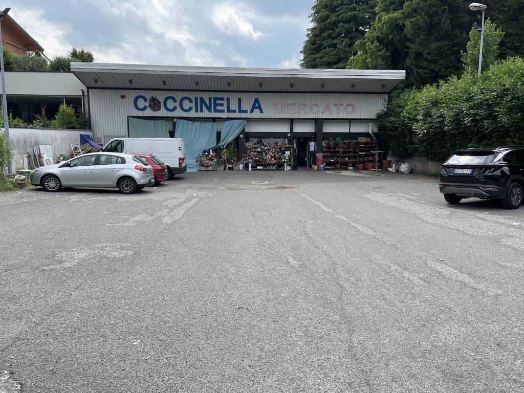 immagine annuncio 8 di 10