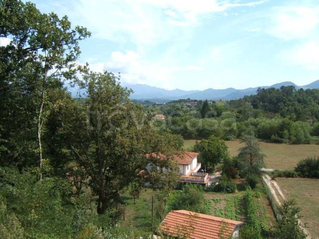 immagine annuncio 2 di 6