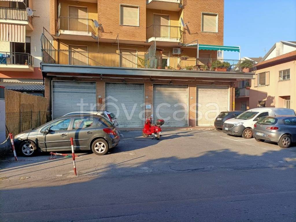immagine annuncio 2 di 12