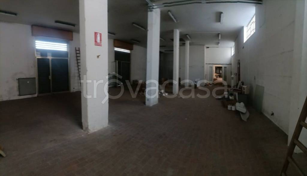 immagine annuncio 9 di 12