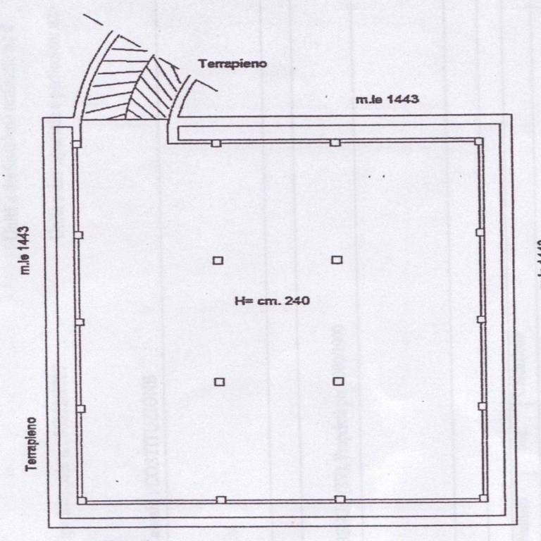 immagine annuncio 5 di 12