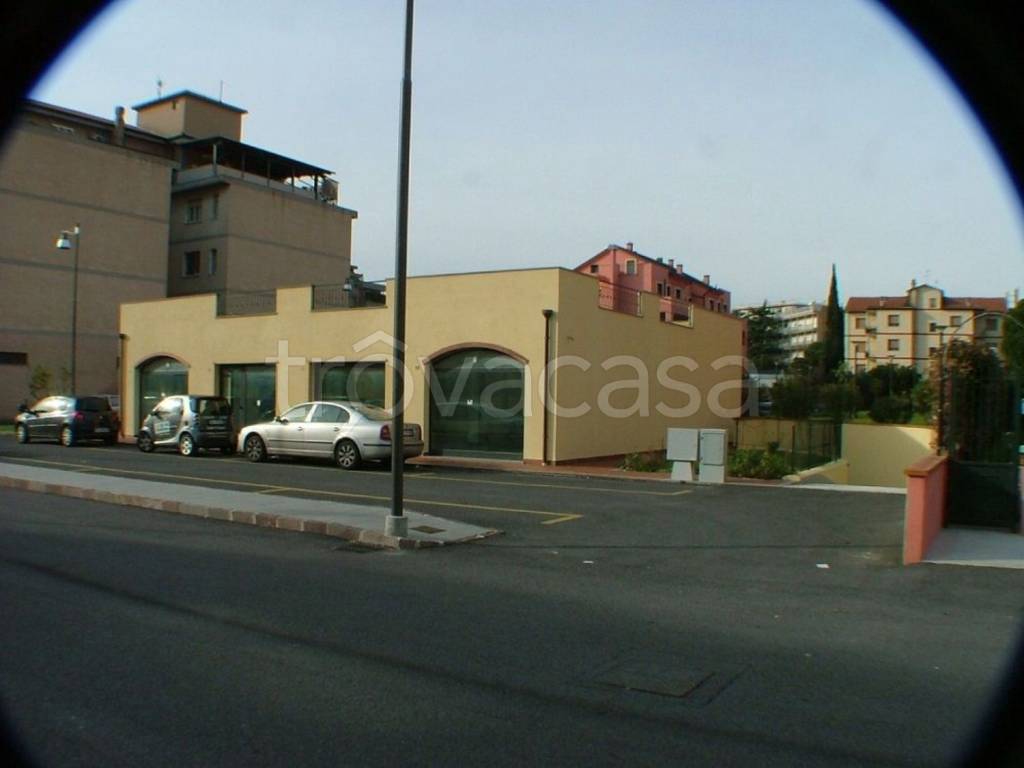 immagine annuncio 8 di 12