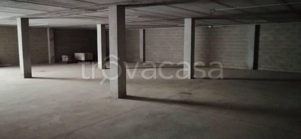 immagine annuncio 9 di 12