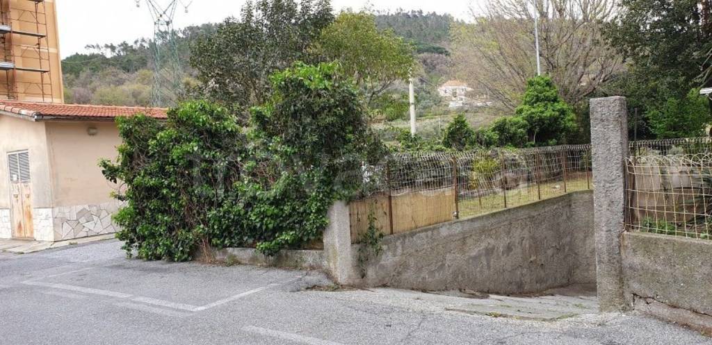 immagine annuncio 7 di 13