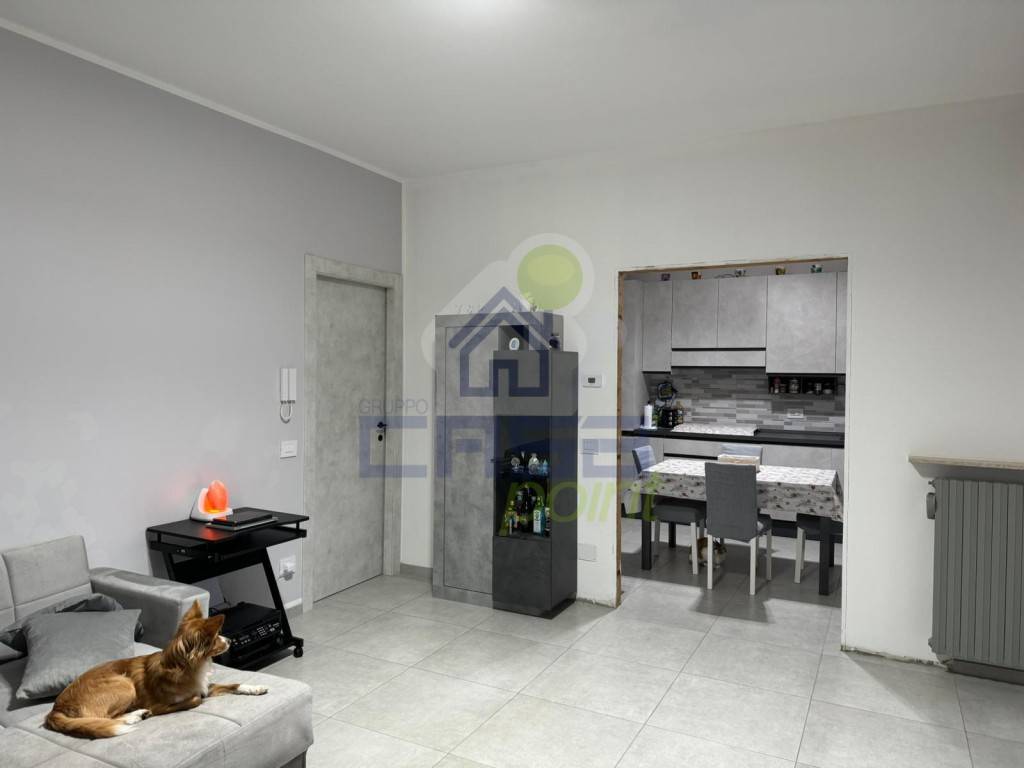 immagine annuncio 2 di 8
