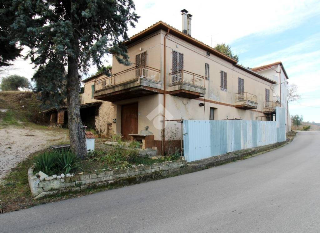 immagine annuncio 2 di 7
