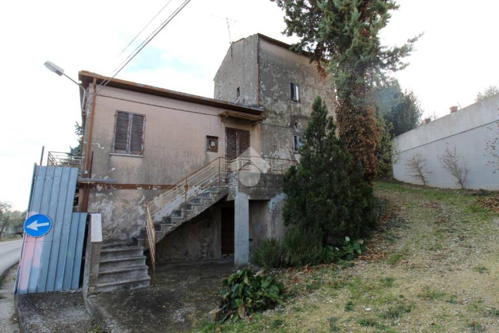 immagine annuncio 1 di 7