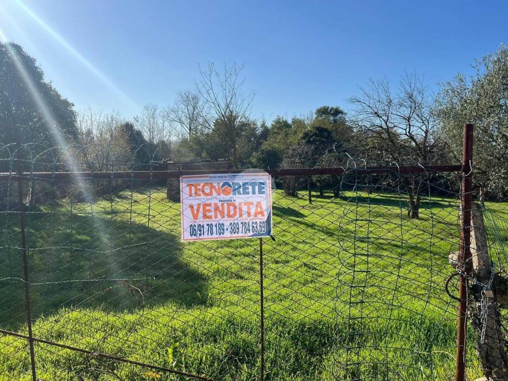 immagine annuncio 1 di 11