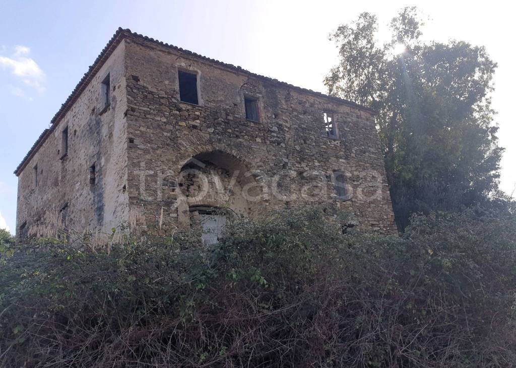 immagine annuncio 3 di 7