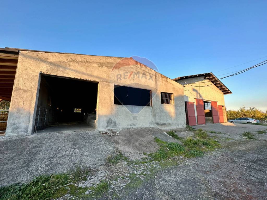 Capannone Industriale in vendita ad Aci Sant'Antonio via San Giovanni