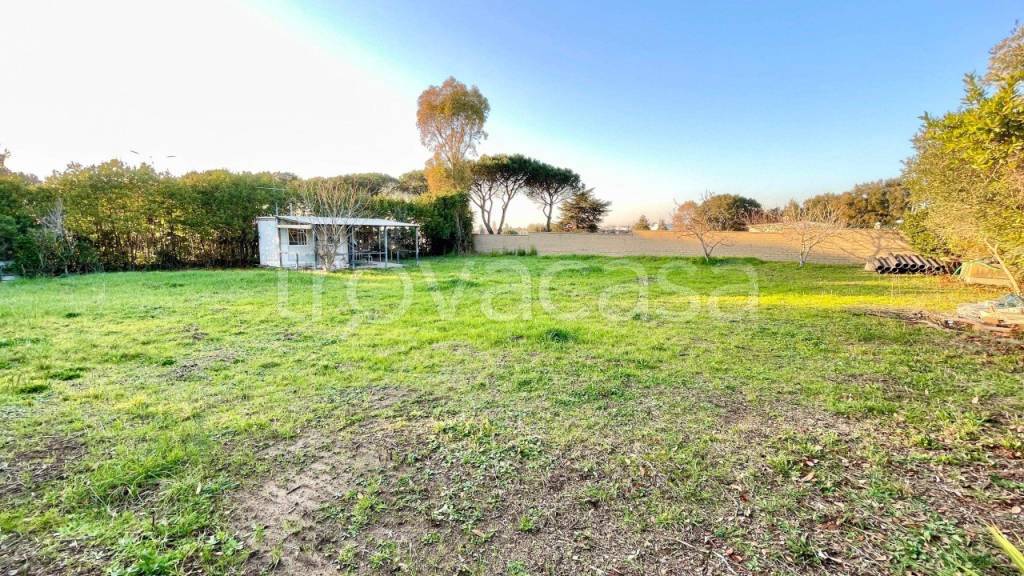 immagine annuncio 4 di 6