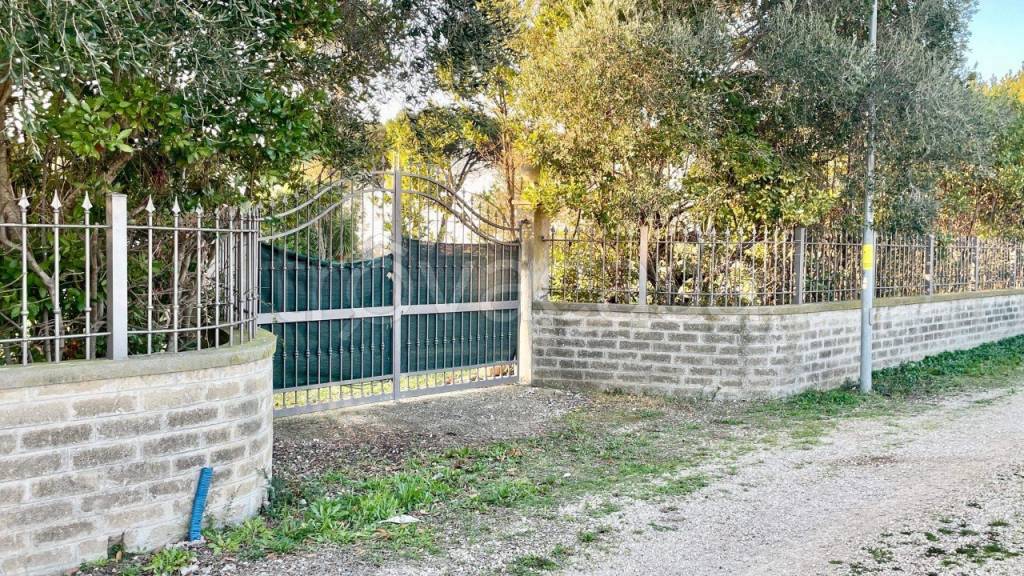 immagine annuncio 5 di 6