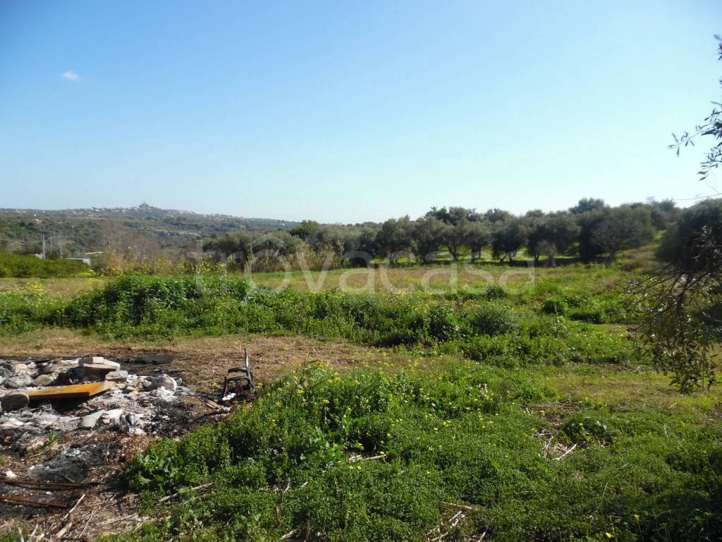 immagine annuncio 8 di 14