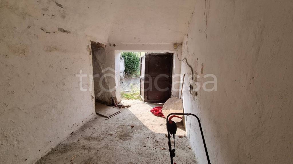 immagine annuncio 12 di 14