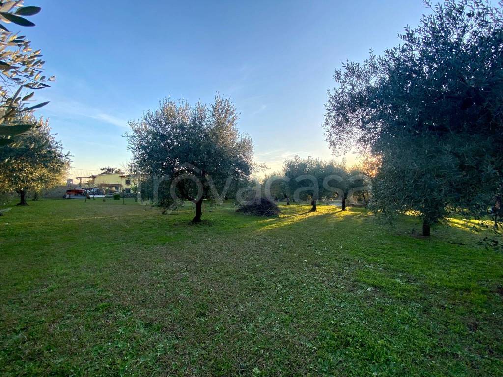 immagine annuncio 5 di 12