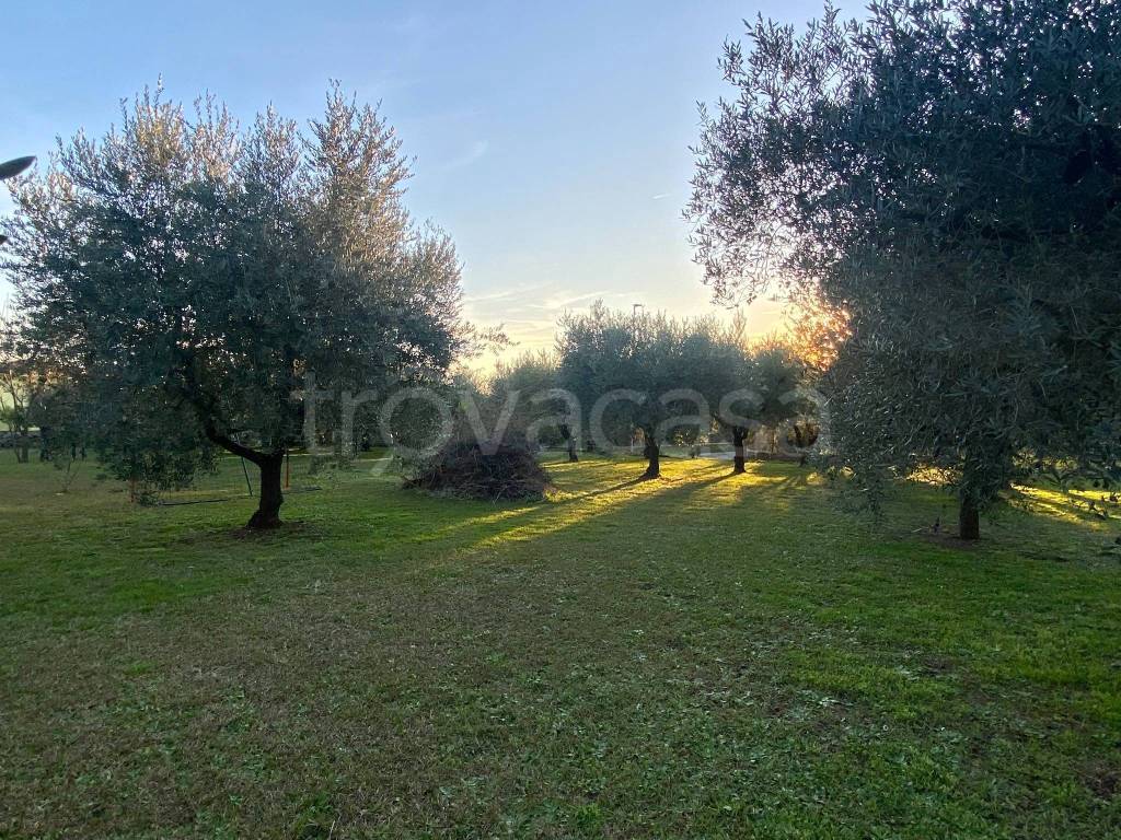 immagine annuncio 3 di 12