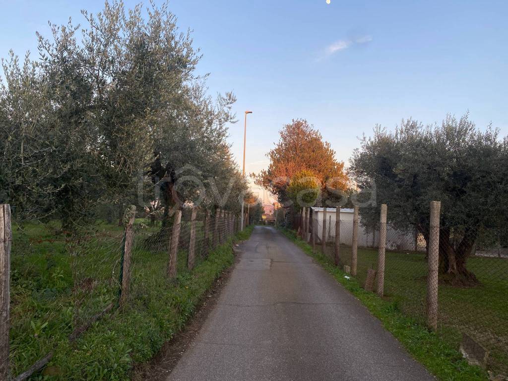 immagine annuncio 7 di 12