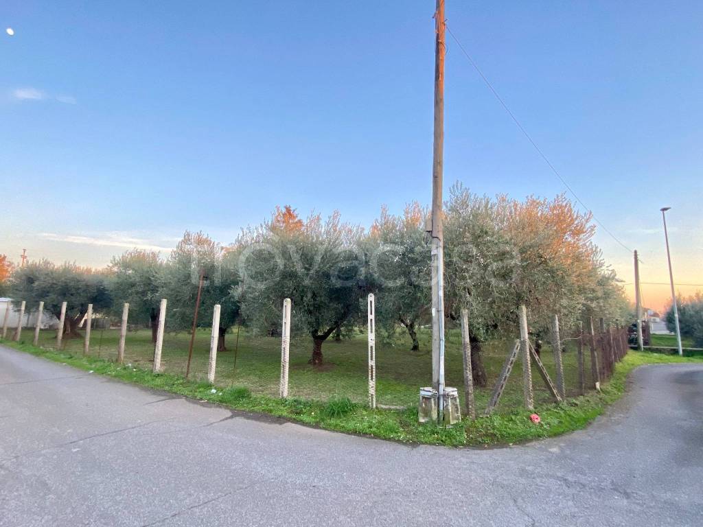 immagine annuncio 8 di 12