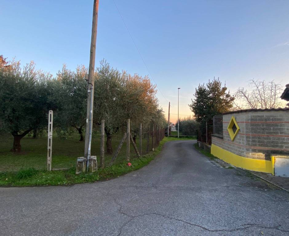 immagine annuncio 10 di 12