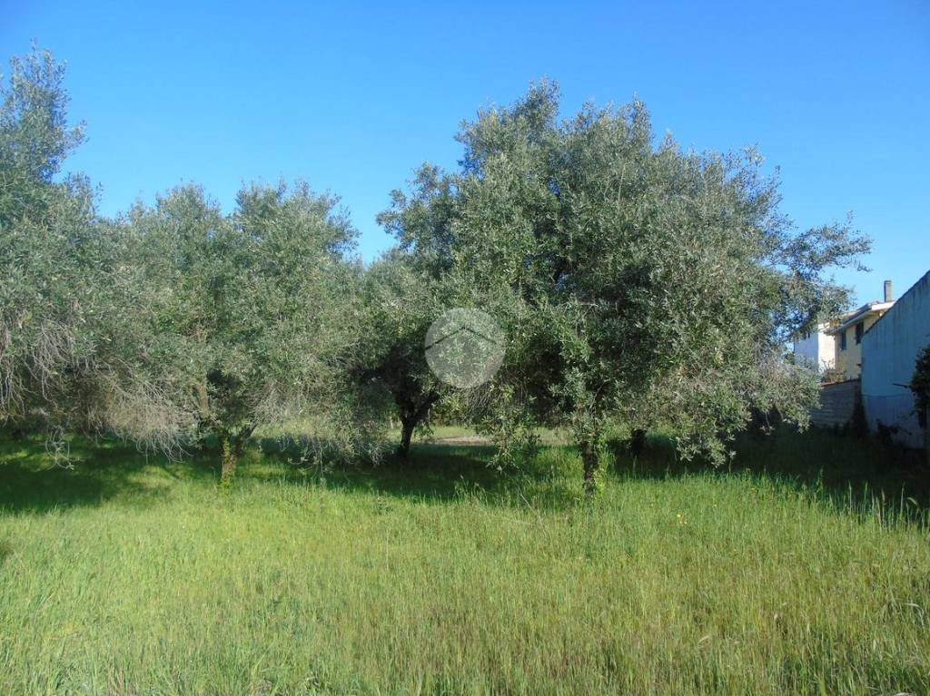 immagine annuncio 8 di 11