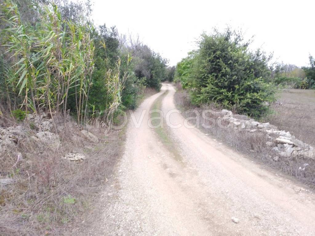 immagine annuncio 9 di 11