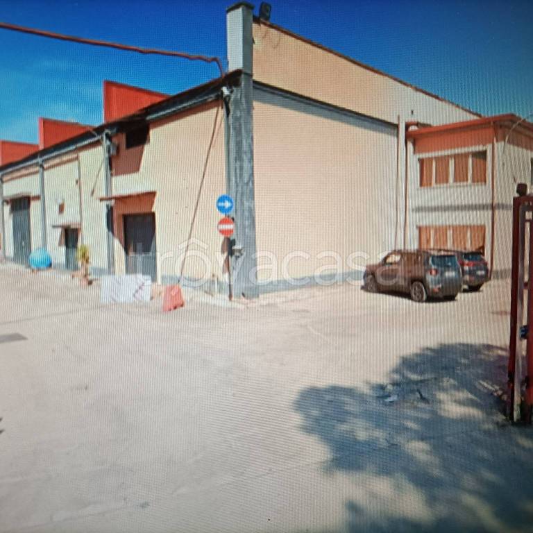 immagine annuncio 12 di 13