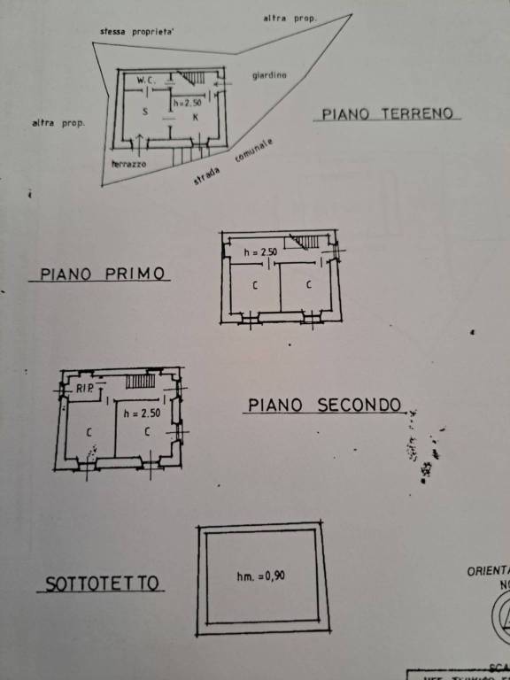 immagine annuncio 3 di 15