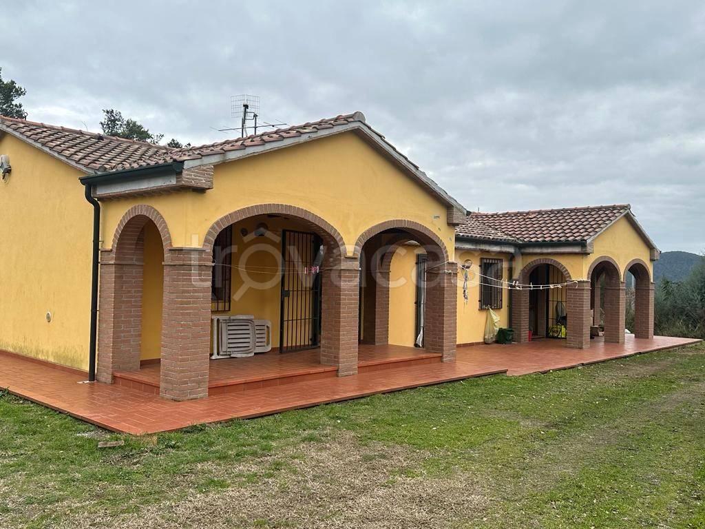 immagine annuncio 2 di 7