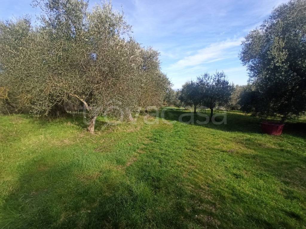 immagine annuncio 2 di 11