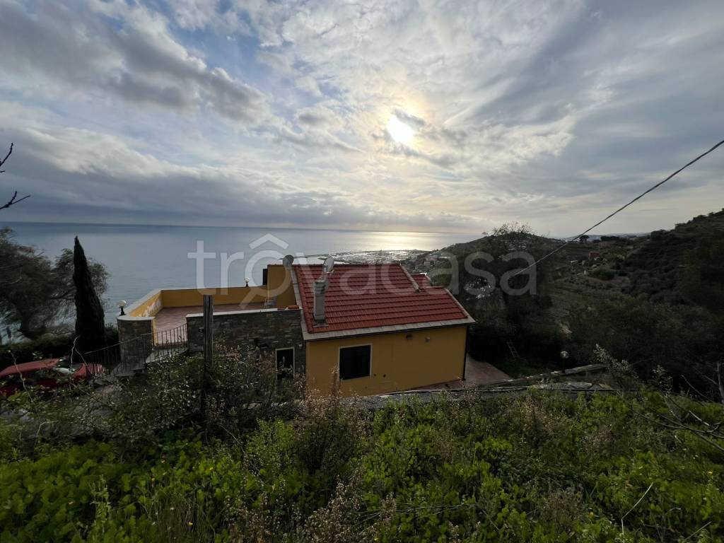 Villa Bifamiliare in vendita a Cipressa regione Tegasse