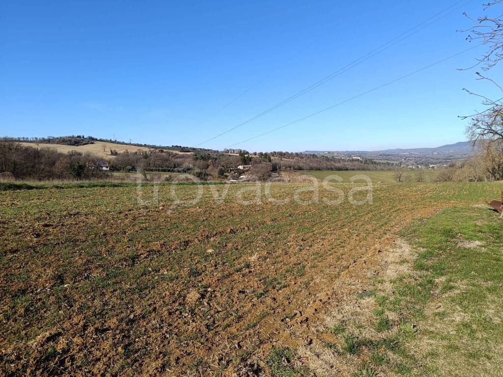 Terreno Agricolo in vendita ad Acquasparta via Flaminia