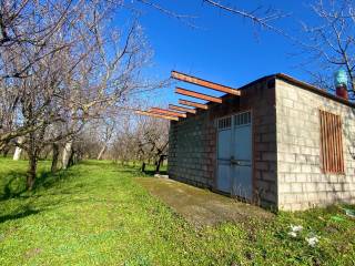 Terreno agricolo in vendita a saviano 