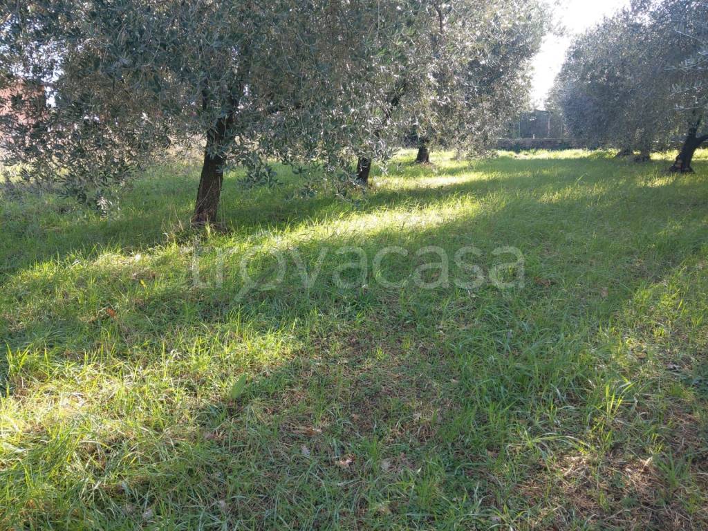 immagine annuncio 5 di 11