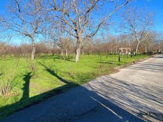 Terreno agricolo in vendita a saviano 