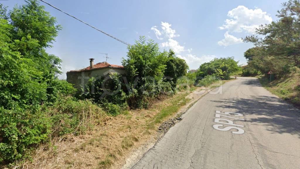 immagine annuncio 5 di 8