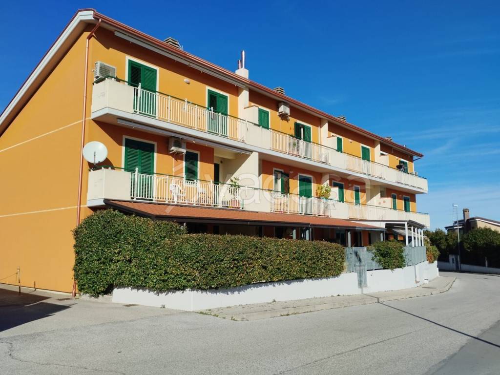Appartamento in in vendita da privato a Termoli via Pisa, 48