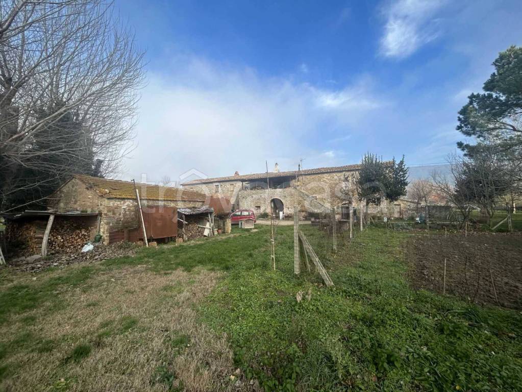 immagine annuncio 8 di 12
