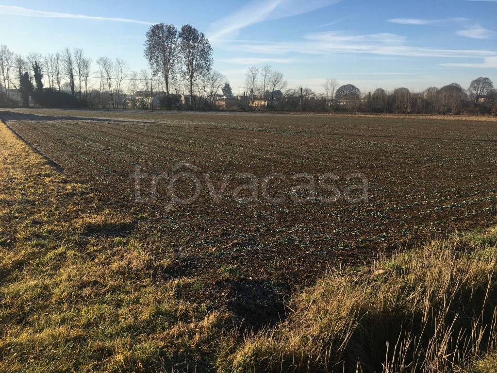 Terreno Agricolo in vendita a Rossano Veneto via Antonio Meucci