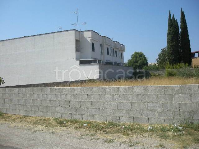 immagine annuncio 5 di 12