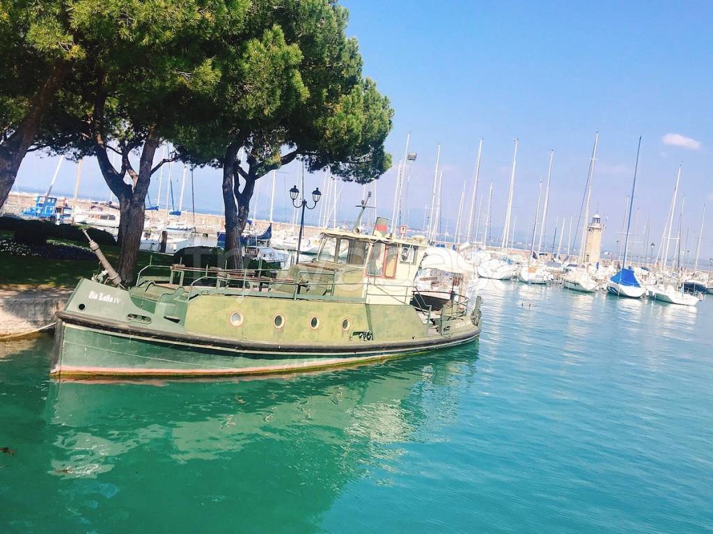 immagine annuncio 2 di 6