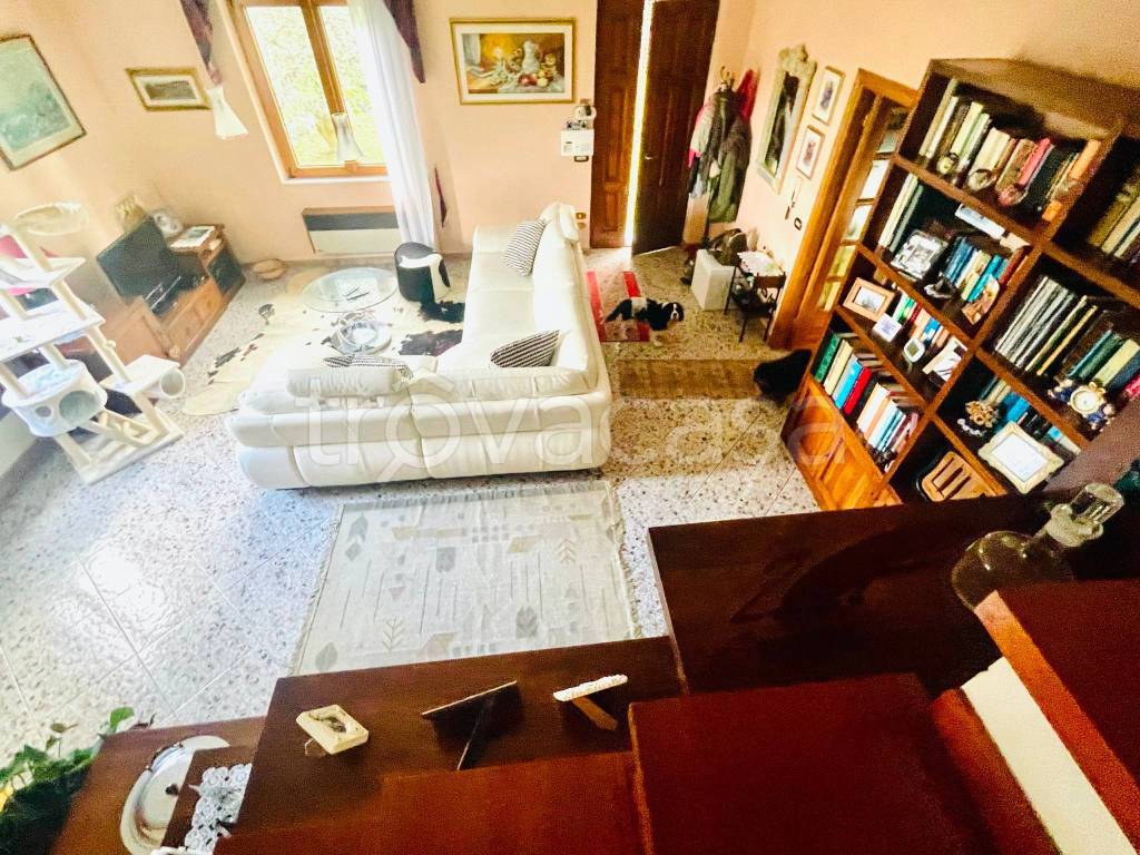 immagine annuncio 7 di 15